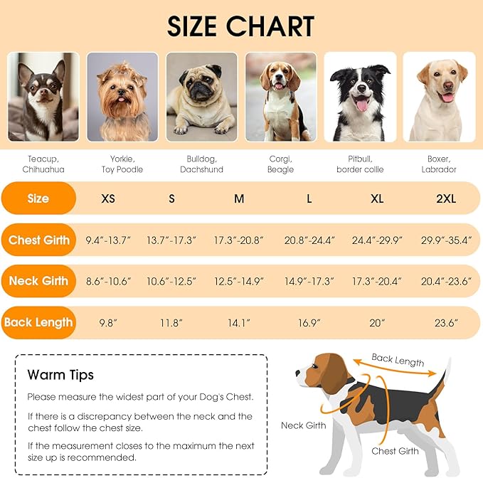 Queenmore Dog Winter Coat, Cold Weather Fleece Jacket for Dogs, Waterproof Reflective Reversible, for Small, Medium and Large Dogs (Grey, XS)
