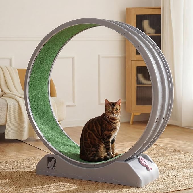 Cat Exercise Wheel, 47.2 Inch Indoor Treadmill for Cats with Carpeted Runway, Screw-Fixed Assembly for Easy Setup, Silent & Safe Fitness Equipment for Most Cats