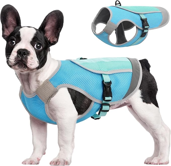 Kuoser Dog Cooling Vest for Summer, Lightweight Dog Cooling Harness Shirt with Breathable Mesh, Reflective Cooler Jacket Pet Cool Vest for Small Medium Large Dogs, Hot Weather, Beach, Hiking, Walking