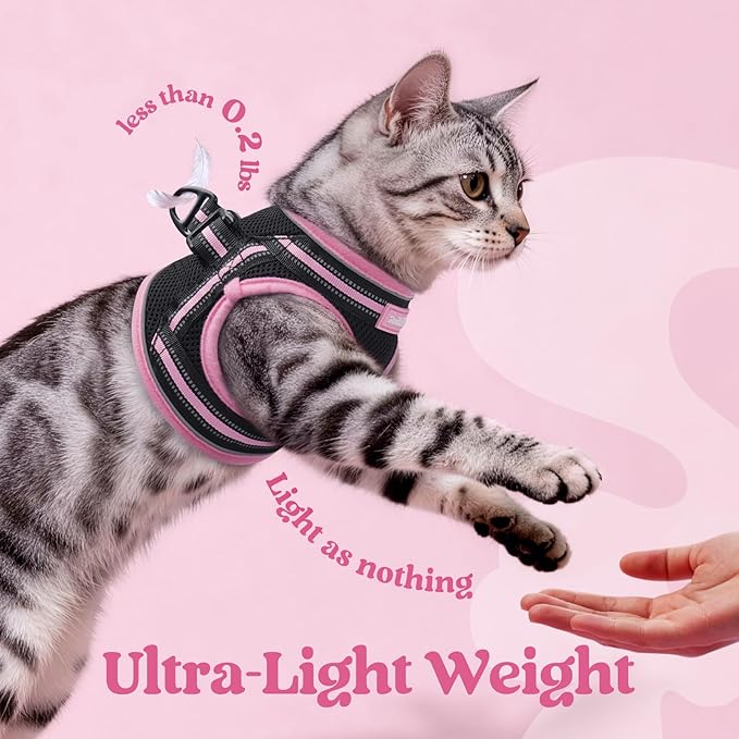 rabbitgoo Cat Harness and Leash, Step-in Escape Proof Kitten Harness Set, Soft Comfortable Cat Vest, Easy to Wear and Adjust, Reflective for Safe Outdoor Walking, Black&Pink, Small