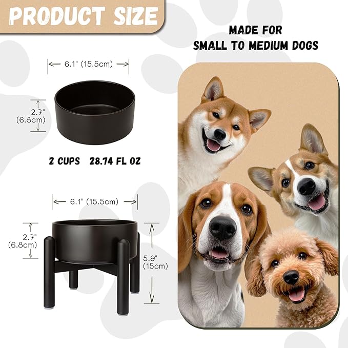 Raised Ceramic Dog Bowl, 6.1'' Modern Feeding Bowl with Non-Slip Stainless Steel Stand, Elevated Food or Water Dish for Small to Medium Dogs, 2 Cups (28.75 fl oz)- Black