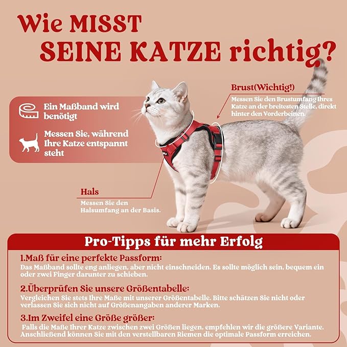 rabbitgoo Cat Harness and Leash Set, Escape Proof Kitten Harness for Safe Outdoor Walks, Soft Breathable Adjustable Vest with Reflective Strips for Kittens and Extra Small Cats, Red, XXS