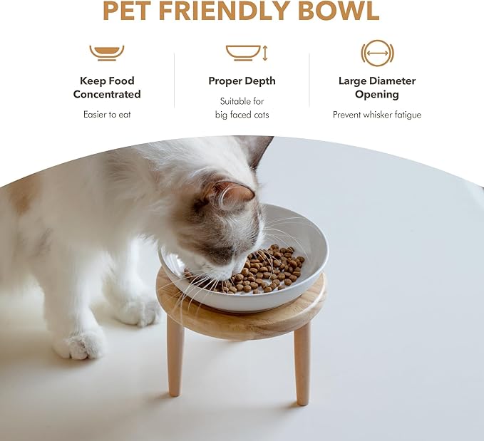 Havniva Cat Bowls Elevated 5.6” Ceramic Cat Bowl with Stand Whisker Friendly Shallow Cat Dishes, Cat Food & Water Bowl Set with Two Heights Options, Anti-Slip Raised Cat Food Bowl for Kitten
