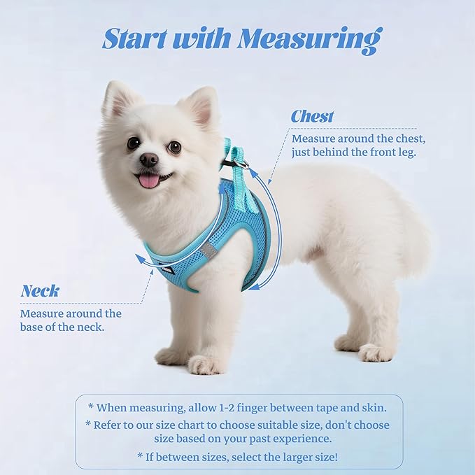 YIMEIS Dog Harness and Leash Set, No Pull Soft Mesh Pet Harness, Reflective Adjustable Puppy Vest for Small Medium Large Dogs, Cats (Sky Blue, X-Small (Pack of 1)