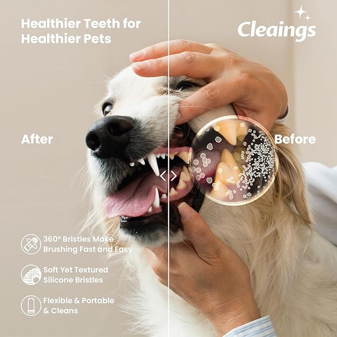Dog Finger Toothbrush with Flavor Burst Beads, 360° Silicone Dog Toothbrush Kit for Dogs & Cats, Deep Teeth Cleaning, (36 Beads per Brush), No Pet Toothpaste Needed - 2 Pcs Chicken Flavor