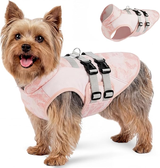 DORA BRIDAL Dog Cooling Vest for Summer, Lightweight Breathable Mesh Cooling Jacket with Harness, Soft Pet Cooler Shirt for Small Dogs, UV Protection for Beach Hiking Walking - XS, Pink