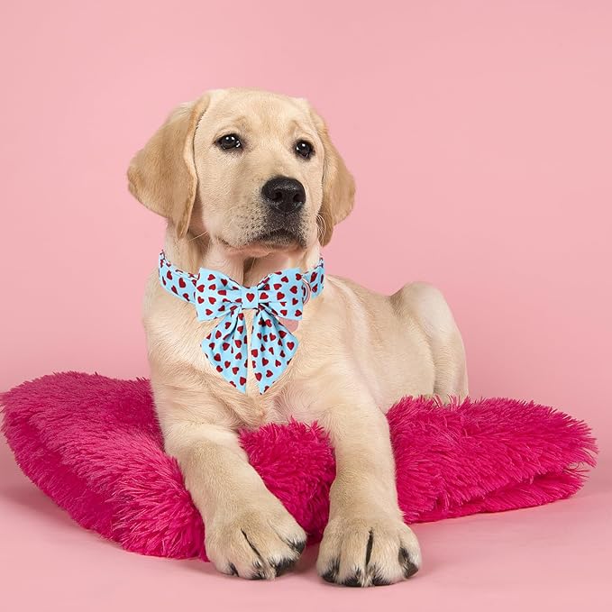 Valentine's Dog Collar & Bow Tie Set,UP URARA PUP Soft & Comfortable Pet Collar with Premium Plastic Buckle for Small, Medium, Large Dog,XS