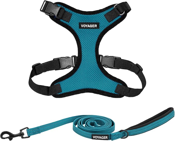 Best Pet Supplies Voyager Step-in Lock Pet Harness w Reflective Pet Leash Combo Set with Neoprene Handle 5ft - Supports Small, Medium and Large Breed Puppies/Cats - Turquoise/Black Trim Set, L