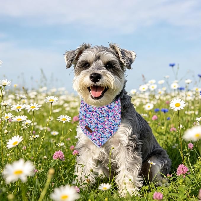 Lionet Paws Spring Summer Oxalis Dog Bandana Washable Cotton Handkerchief Scarf Triangle Blue Flower Bandana for Small Medium Dogs Girl Boy