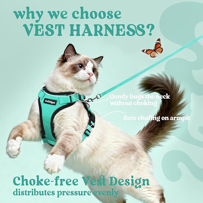 rabbitgoo Cat Harness and Leash Set, Escape Proof Vest Harness for Safe Outdoor Walks, Soft Breathable Adjustable Vest with Reflective Strips for Average to Large Cats, Emerald, M