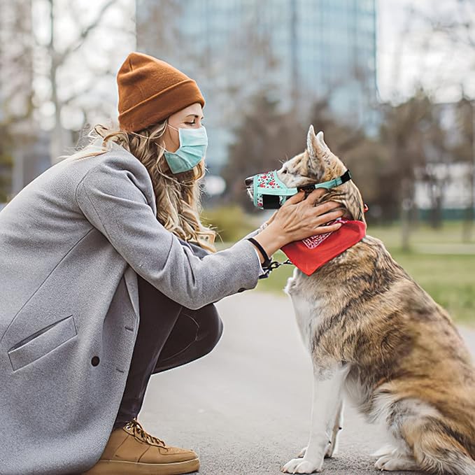 HEELE Dog Muzzle,Soft Nylon Muzzle Anti Biting Barking Chewing,Air Mesh Breathable Drinkable Adjustable Loop Pets Muzzle for Small Medium Large Dogs 4 Colors 4 Sizes (P-Cyan Flower, S)