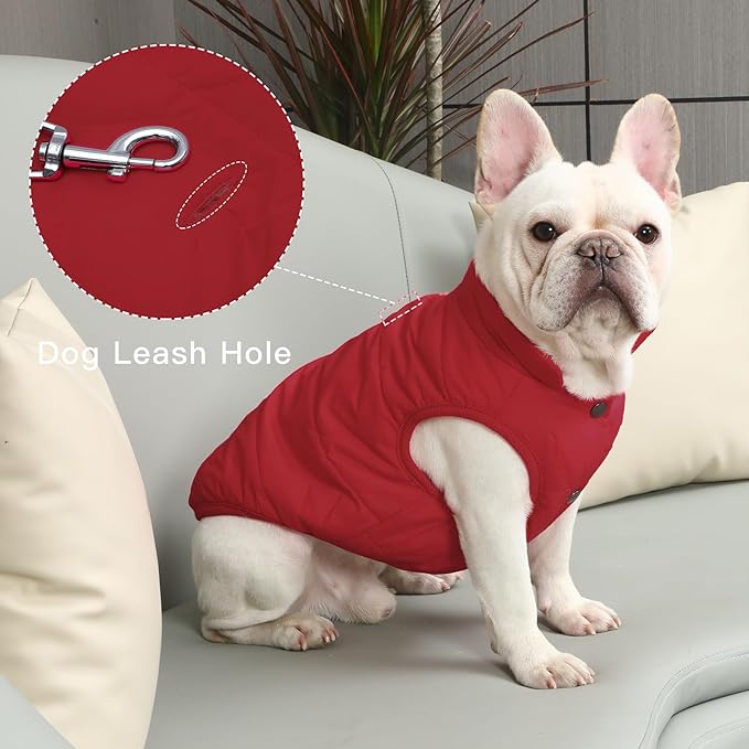 JoyDaog 2 Layers Fleece Lined Warm Dog Jacket for Winter Cold Weather,Soft Windproof Large Dog Coat,Red XXL