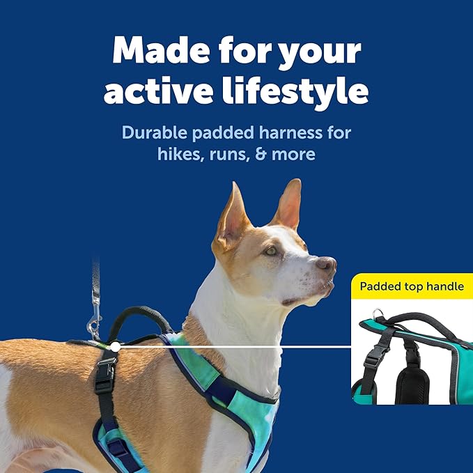 PetSafe EasySport Harness Padded Straps Fully Adjustable Elastic Neckline Best for Athletic Dogs Top Handle for Quick Control - Medium - Teal