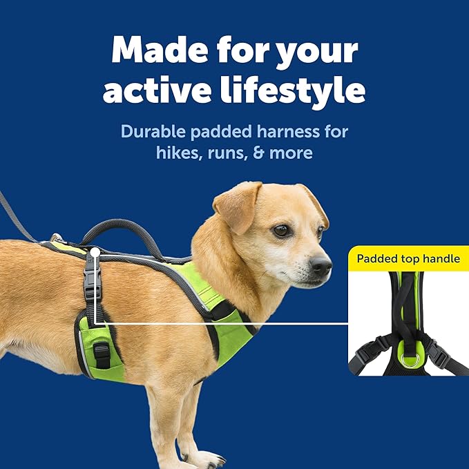 PetSafe EasySport Harness - Durable Padded Fabric, Adjustable Elastic Neckline, Rear-Leash Attachment & Nighttime Reflective Visibility - No Choke or Gag Secure Fit - Extra-Small - Apple Green