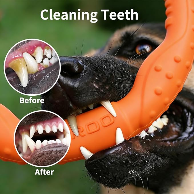 LaRoo Dog Flying Ring Toys, Floating Flying Dog Disc Toys, Summer Pet Training Outdoor Durable Chew Toys for Medium and Large Dogs (Medium Orange/22cm)