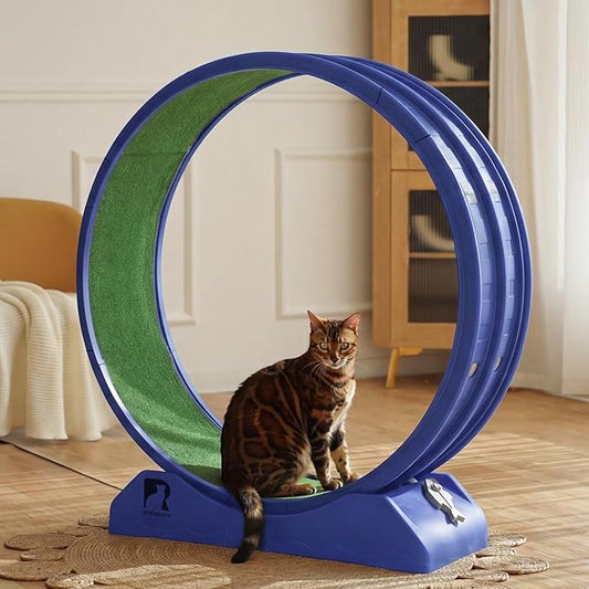 Cat Exercise Wheel, 47.2 Inch Indoor Treadmill for Cats with Carpeted Runway, Screw-Fixed Assembly for Easy Setup, Silent & Safe Fitness Equipment for Most Cats
