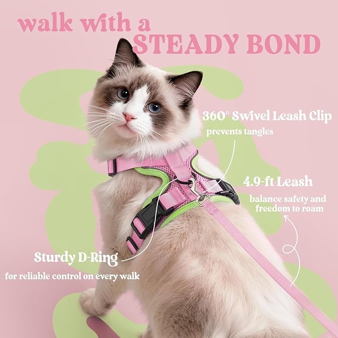 rabbitgoo Cat Harness and Leash Set, Escape Proof Kitten Harness for Safe Outdoor Walks, Soft Breathable Adjustable Vest with Reflective Strips for Kittens and Extra Small Cat, Pink & Light Green, XXS