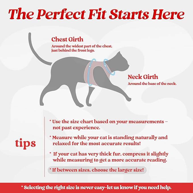 rabbitgoo Cat Harness and Leash, Step-in Escape Proof Kitten Harness Set, Soft Comfortable Cat Vest, Easy to Wear and Adjust, Reflective for Safe Outdoor Walking, Red, Large