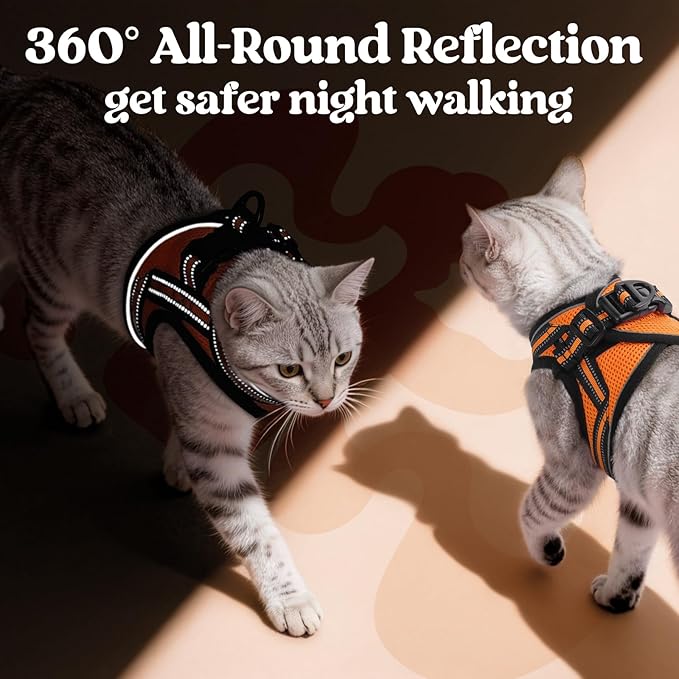 rabbitgoo Cat Harness and Leash, Step-in Escape Proof Kitten Harness Set, Soft Comfortable Cat Vest, Easy to Wear and Adjust, Reflective for Safe Outdoor Walking, Light Orange, Medium