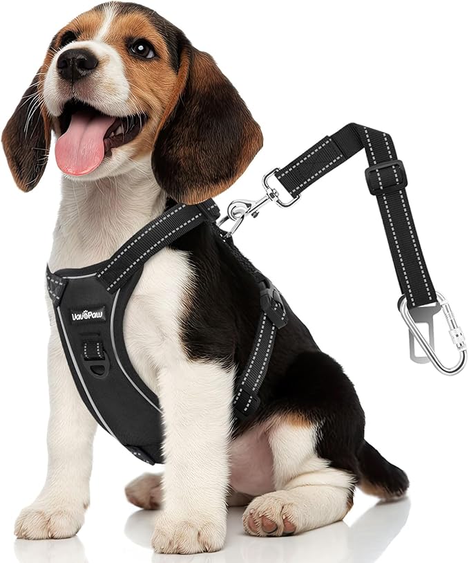 VavoPaw Dog Seat Belt Harness for Car, Adjustable Dog Car Harness Mesh Breathable & Dogs Seatbelt Safety Tether with Elastic Bungee for Small Medium Large Dogs (Carbon Black, M)