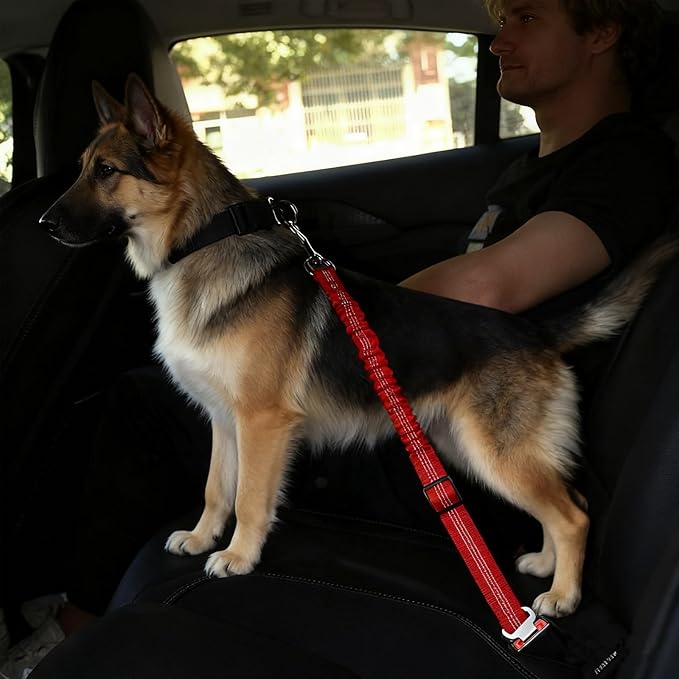 Dog Seat Belt for Car, Adjustable Dog Car Harness, Reflective Dog Seatbelt Leash with Elastic Bungee Buffer, Durable Nylon Pet Safety Dog Seat Belt for All Dog Sizes (Red)