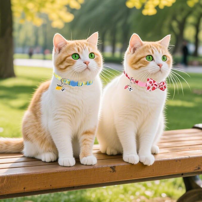 PUPTECK Cat Collar Breakaway with Bells, Kitten Collar Outfit Adjustable for Girl Boy Small Pet Puppy Bunny, Cute Costume Accessory with Safety Release Buckle (Bowtie-Fruit)