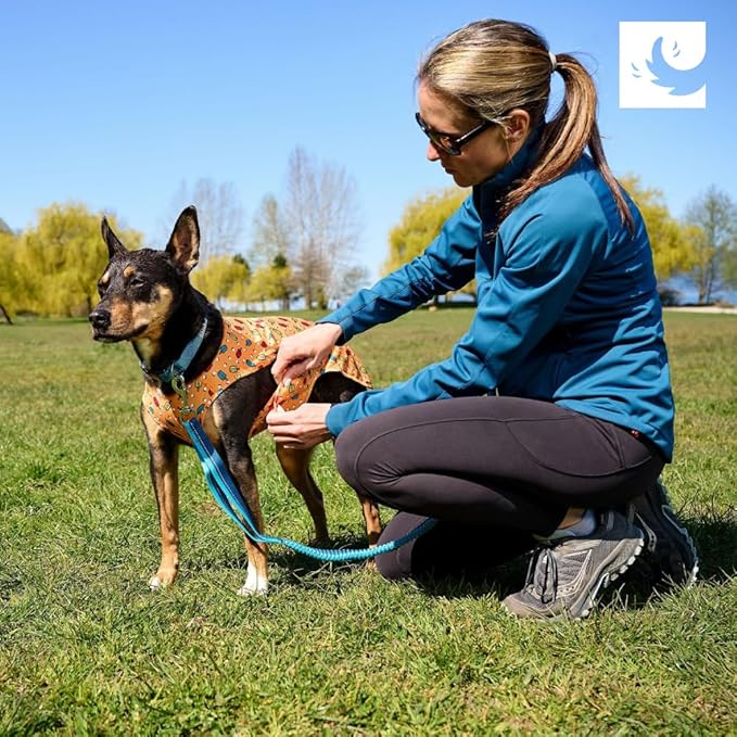 RC Pet Products Zephyr Cooling Vest, Extra Extra Small, Aqua (X-Large, Waves)