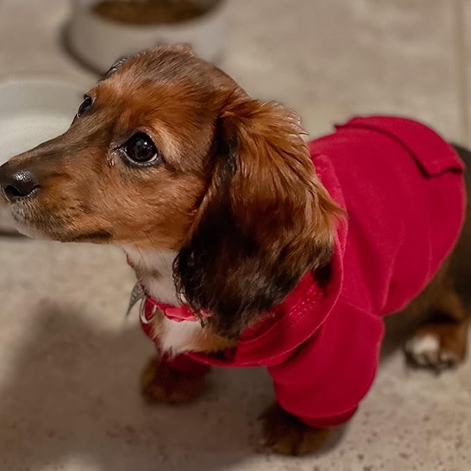 Jecikelon Soft Dog Hoodies for Small Dogs, Fleece Puppy Sweatshirt with Pockets, Warm Winter Cold Weather Coats for Pet Cat, Cute Clothes Puppy Costume (Wine red, XX-Small)