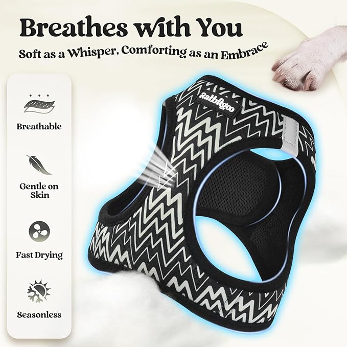 rabbitgoo Dog Harness Small Medium Sized and Leash Set, Step in Soft Light Puppy Vest, Breathable Mesh Pet Harness, Reflective for Safe Easy Walking, Black Zigzag L