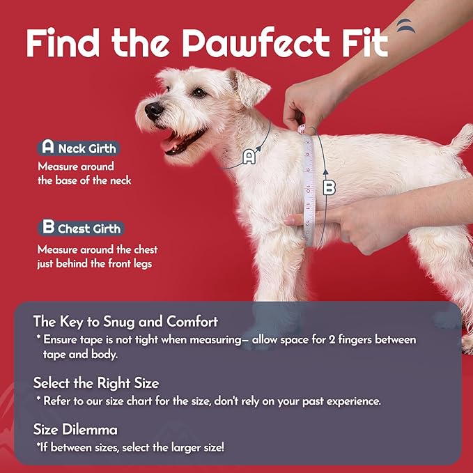 Eagloo Small Dog Harness and Leash Set, Step in Puppy Vest with Breathable Soft Mesh, Walking Reflective Pet Harness for Medium Small Dogs, Red, L