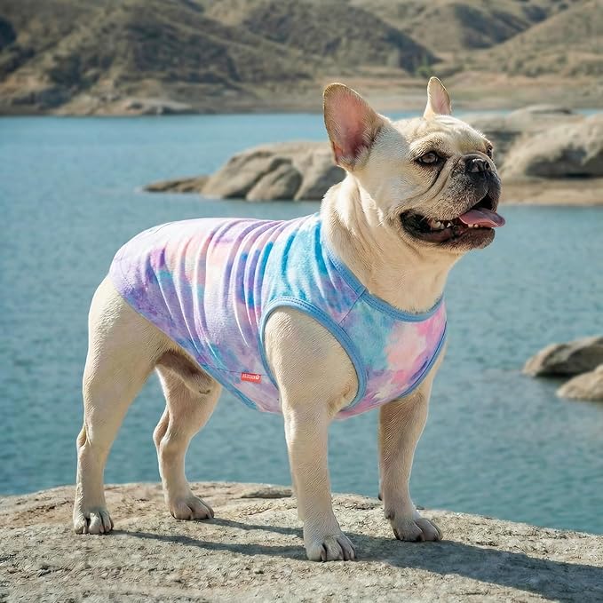 KYEESE 2Pack Dog Cooling Shirt, Breathable Dog Shirt for Small Dogs, Sun Protection Dogs Cooling Vest Tank Top, Lightweight Soft Sleeveless Summer Pet Clothes, Purple+Blue, M