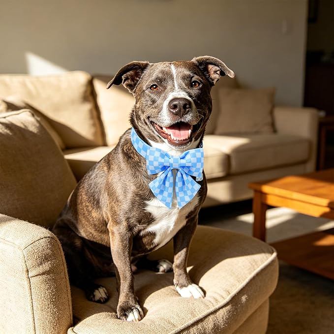 DOGWONG Blue Plaid Dog Collar with Bow - Adjustable and Comfortable Autumn Dog Collar Blue Checked Necklace for Large Medium Small Pet,L