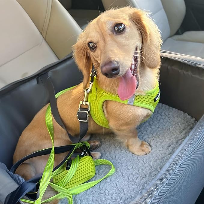 Best Pet Supplies Voyager Step-in Air All Weather Mesh Harness and Reflective Dog 5ft Leash Combo with Neoprene Handle, for Small, Medium and Large Breed Puppies - Set (Lime Green), XXX-Small