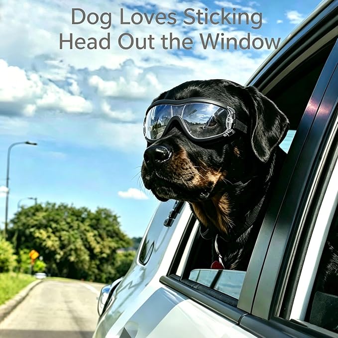 LESYPET Dog Goggles Large Breed, UV Wind Dust Protection Large Dog Sunglasses Eye Protection, Eye Wear Pet Glasses with Adjustable Strap for Outdoor Riding, L
