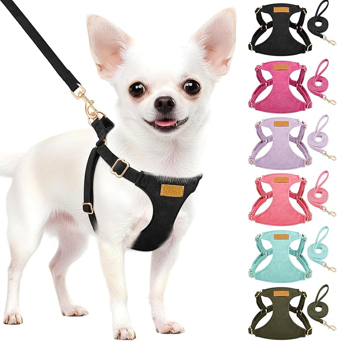 SlowTon Dog Harness Small Sized Dog - Soft XXS Dog Harness and Leash Set No Pull No Chock, Adjustable Lightweight Puppy Harness for XS Small Medium Dogs Cats (Solid Black, XS)