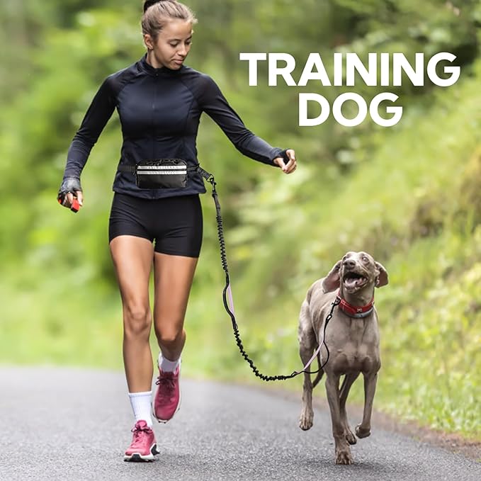 Hands Free Dog Leash with Pouch, Double Leash for Two Dogs, Retractable Bungee with Double Padded Handles, Dog Waist for Dog Walking, Running for Dogs, Dog Walking Accessories