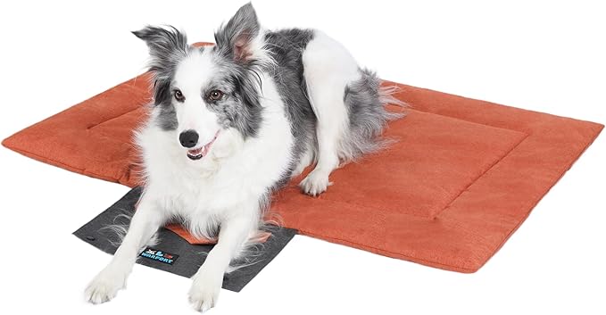 Outdoor Foldable Dog Mat Durable Teflon-Coated Oxford Material Waterproof Thin Dog pad Travel-Friendly Machine Washable Design for Camping/Car (Orange, Medium (39.4 * 28.3 * 1.57 in))
