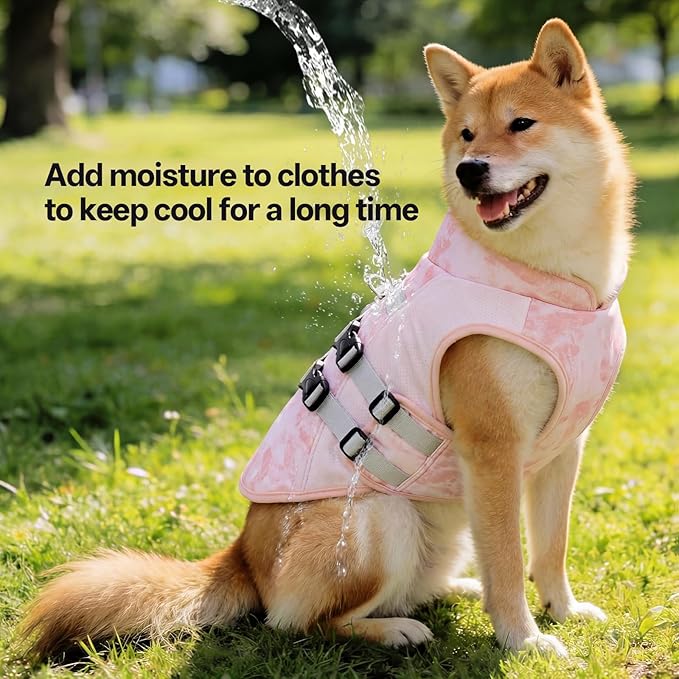 DORA BRIDAL Dog Cooling Vest for Summer, Lightweight Breathable Mesh Cooling Jacket with Harness, Soft Pet Cooler Shirt for Frenchie, UV Protection for Beach Hiking Walking -M, Pink