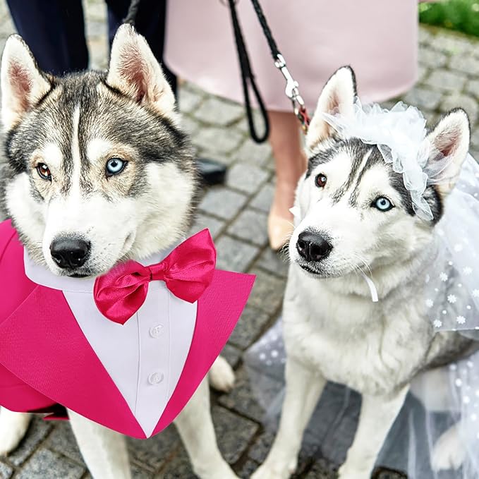 AOFITEE Dog Tuxedo Formal Dog Suit and Bandana Set, Gentle Dogs Wedding Party Suit Bow Tie Shirt, Tuxedo for Small Dogs Costume Outfit with Detachable Bowtie Collar for Christmas Halloween Dress Up
