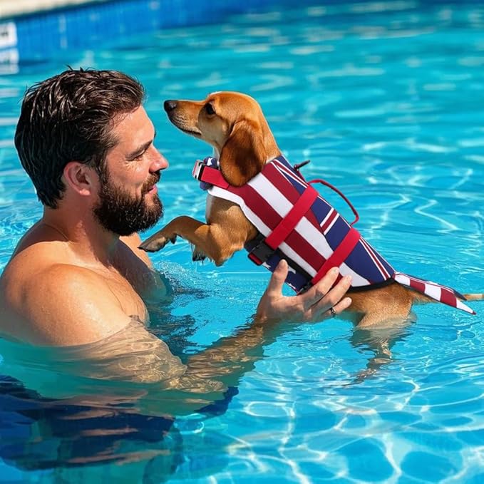 EMUST Dog Life Vests, Pet Floats for Swimming, Boat, Pool, Ripstop Dog Life Jacket with High Buoyancy and Lift Handle for Small and Medium Breeds, (M,FlagMermaid)