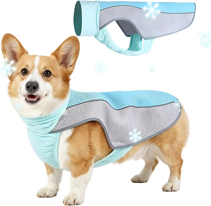 Dog Cooling Vest, Summer Cooler Jacket for Small & Medium Dogs Soft Breathable Mesh Lightweight Pet Shirt for Beach Hiking Walking (Blue,M)