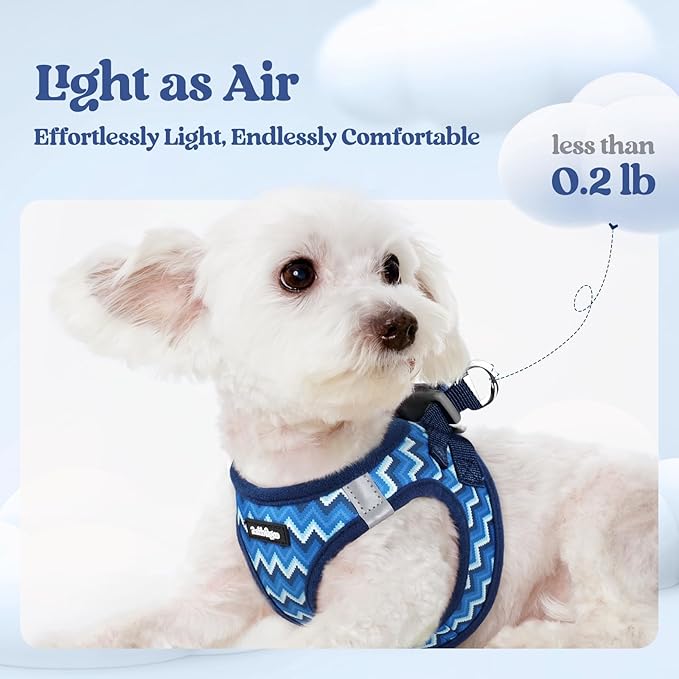 rabbitgoo Dog Harness Small Sized and Leash Set, Step in Soft Light Puppy Vest, Breathable Mesh Pet Harness, Reflective for Safe Easy Walking, Blue Zigzag M