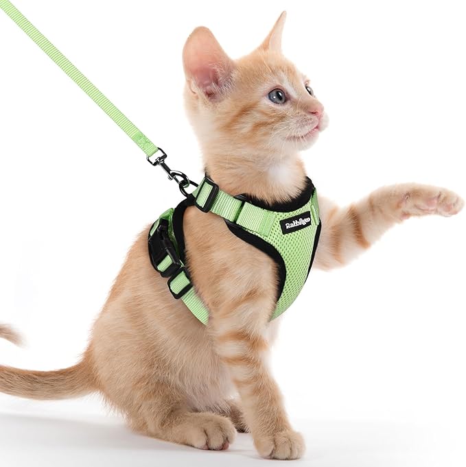 rabbitgoo Cat Harness and Leash Set, Escape Proof Kitten Harness for Safe Outdoor Walks, Soft Breathable Adjustable Vest with Reflective Strips for Kittens and Extra Small Cats, Light Green, XXS