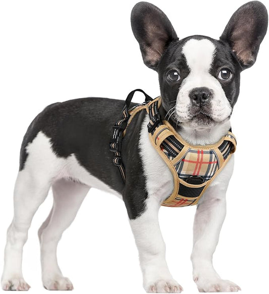 rabbitgoo Dog Harness No Pull with 2 Leash Clips, Adjustable Soft Padded, Reflective Oxford No Choke Pet Vest with Easy Control Handle for Small Dogs, Beige Plaid, S