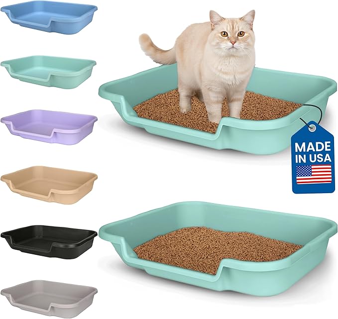 KittyGoHere Senior Cat Litter Box, Large Litter pan, Open Top Low Entrance Kitty Litters Box, Lightweight Low Entry Litter Box, Durable, Made in USA (2 Pack - Apple Green)