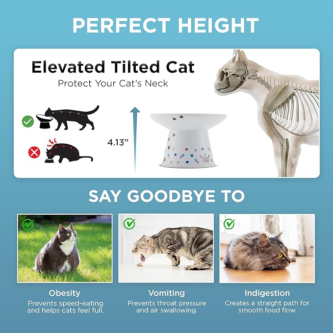 Necoichi Elevated Cat Food Bowl, Ceramic (Porcelain), Whisker-Friendly, Dishwasher & Microwave Safe, Non-Slip Silicone Base, Anti-Vomiting & Neck Fatigue (Colorful Dots, Extra Wide, 2-Cups Capacity)