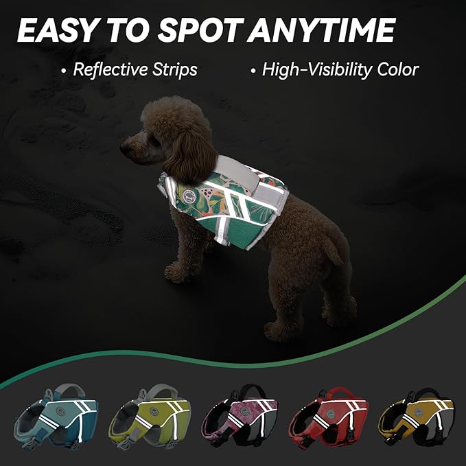 VIVAGLORY Sports Style Dog Life Vest, Dog Life Jacket for Swimming & Boating, Ripstop & Buoyancy for Puppy Doggy, Lifejacket with Handle, XS, Floral