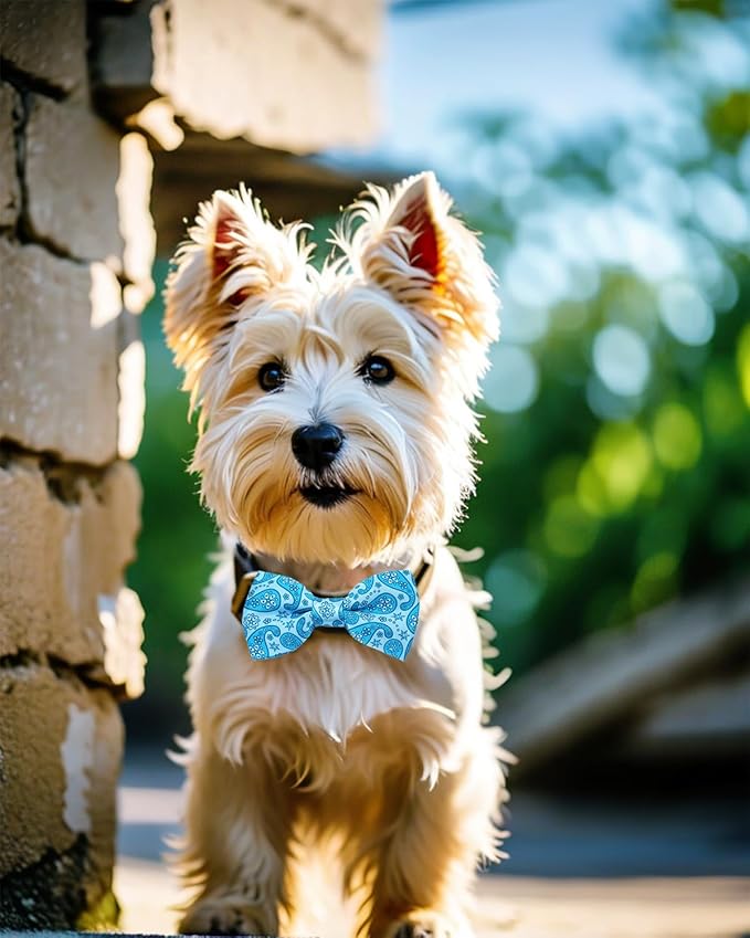 PET SHOW 10 Pack Paisley Small Dog Bow Ties Sliding Collar Attachments Puppy Cats Floral Bowties for Medium Dogs Classy Bowknots Party Holiday Pet Grooming Accessories(Small)