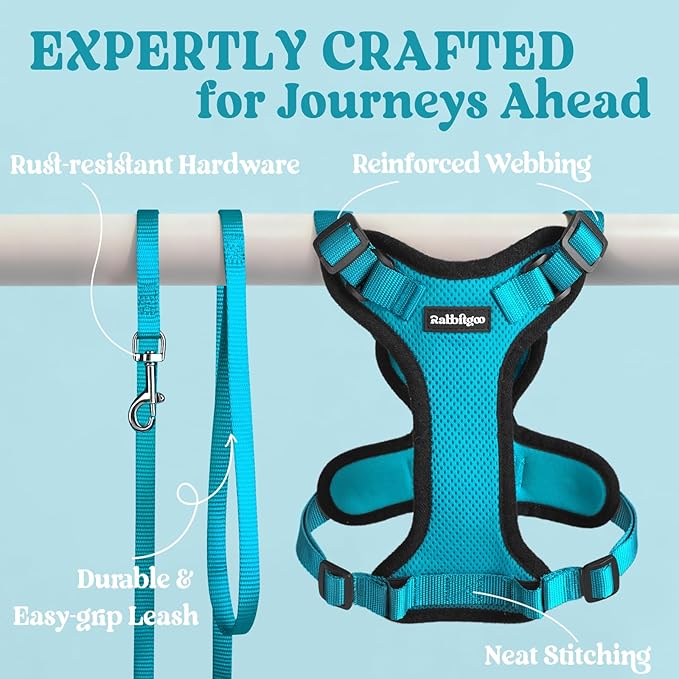 rabbitgoo Cat Harness and Leash Set, Escape Proof Kitten Harness for Safe Outdoor Walks, Soft Breathable Adjustable Vest with Reflective Strips for Kittens and Small Cats, Teal, XS
