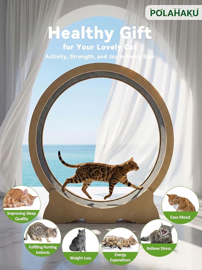 Cat Exercise Wheel, 48 Inch Diameter Cat Treadmill for Indoor Cats, Cats Running Wheel with Updated Enhanced Base and Carpeted Runway for Cat's Longer Life and Fitness, Natural